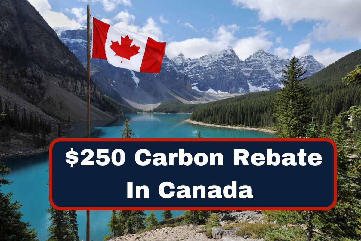 Who Can Receive $250 Carbon Rebate In Canada: Check Eligibility and Payment Dates