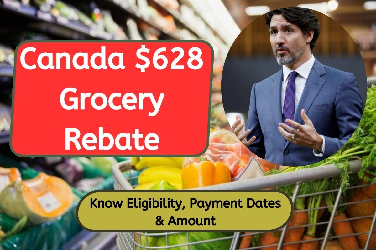 Canada $628 Grocery Rebate October 2024 Coming: Know Eligibility, Payment Dates, Amount & Fact Checks