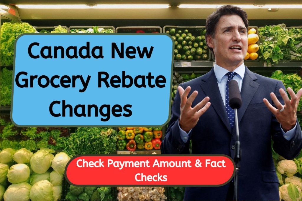 Canada New Grocery Rebate Changes 2024 Know Eligibility Criteria