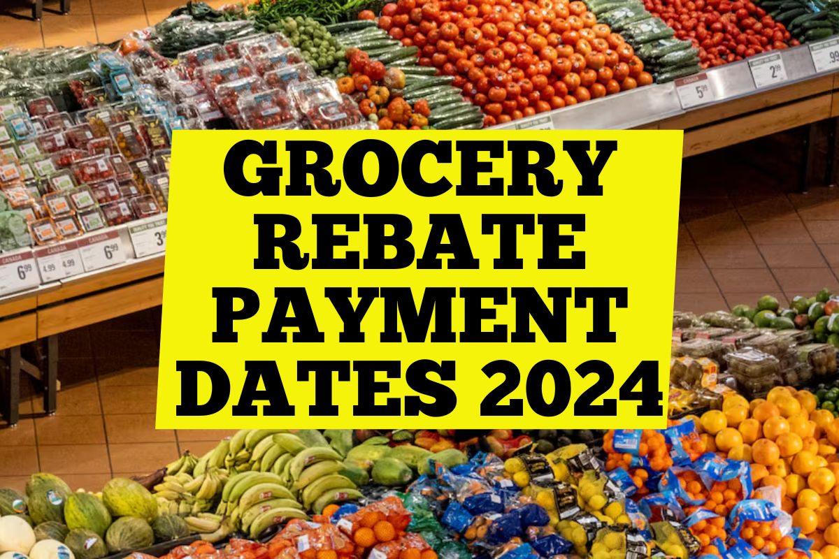 Grocery Rebate Payment Dates October 2024 – Know Grocery Rebate Eligibility, Payment Amount & Fact Checks