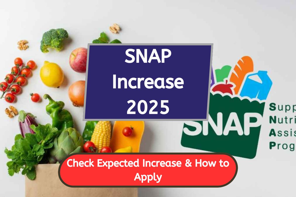 SNAP Increase 2025: Check Expected SNAP Benefits Increase in 2025 & How to Apply